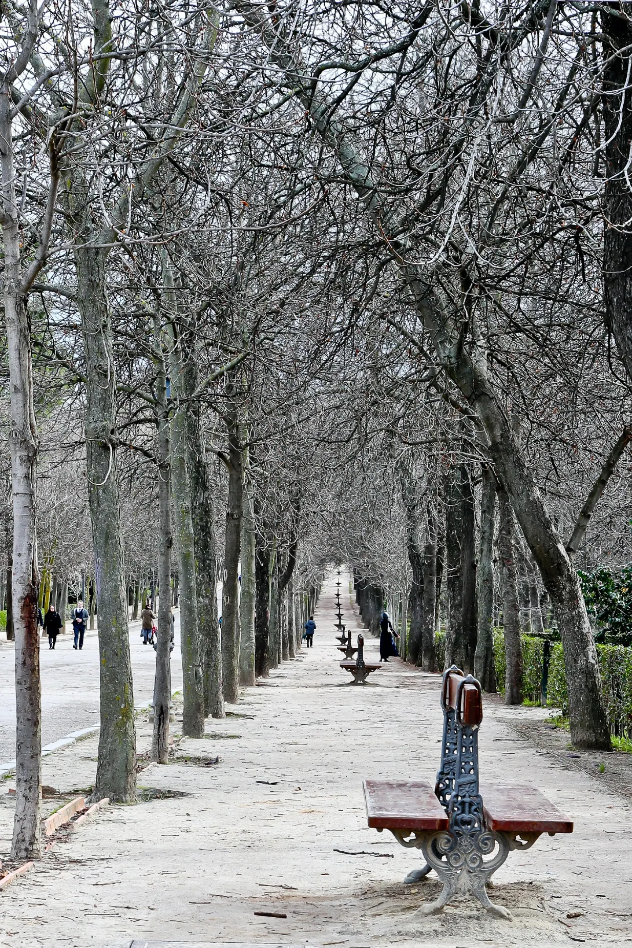 Tree-lined winter avenue with distant figures