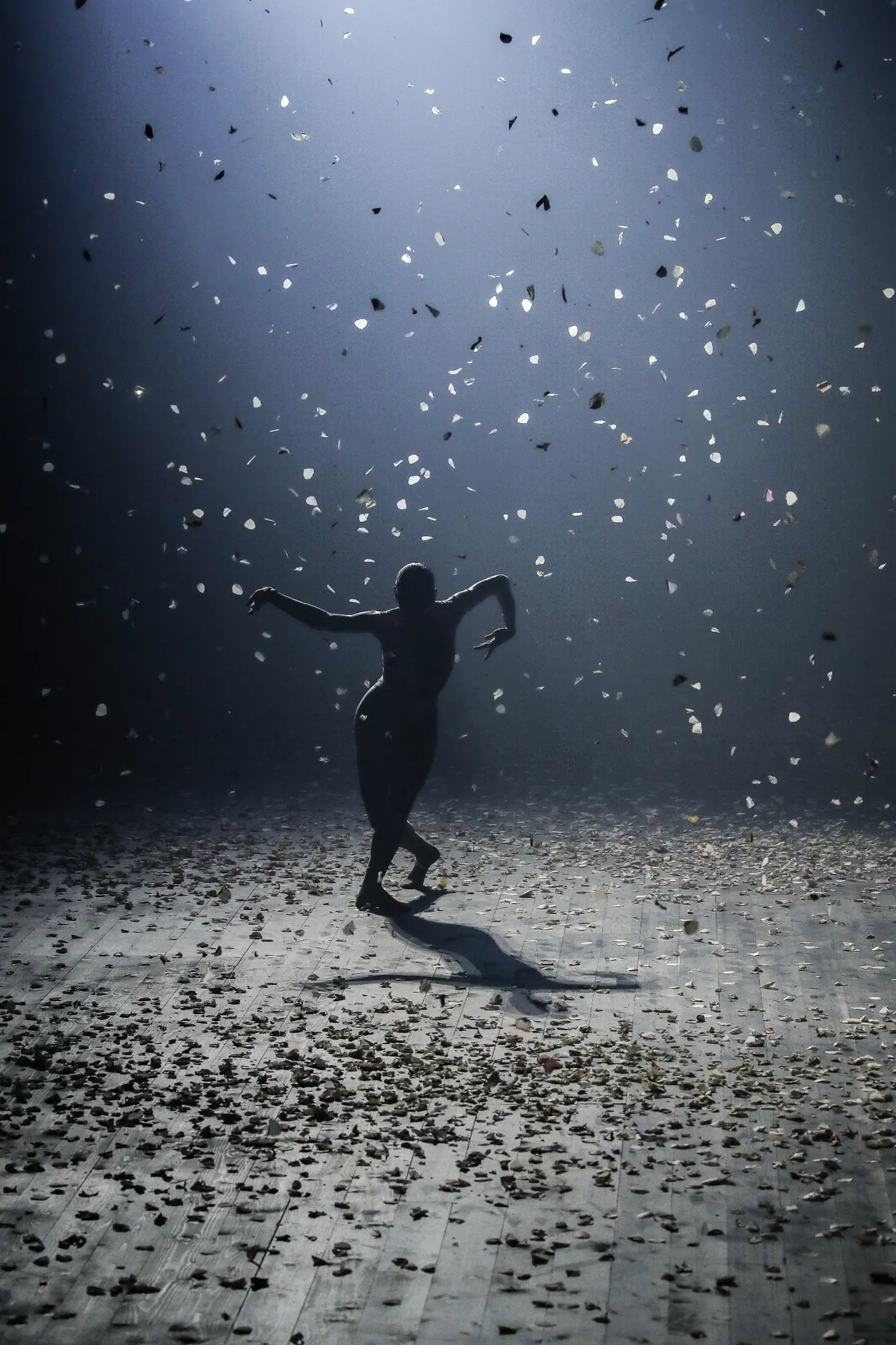 Dior stage scene with dancer, confetti and dramatic light